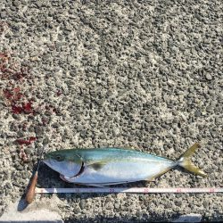 傷だらけの天使