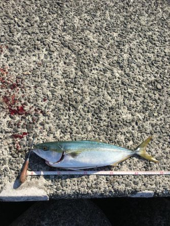 傷だらけの天使