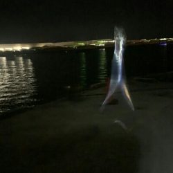 Humiliation（屈辱）