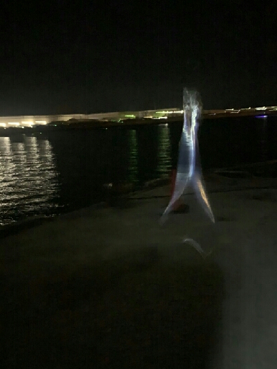 Humiliation（屈辱）