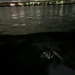 チャリ~ンチャリ~ンのにょろにょろ~