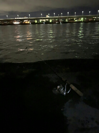 チャリ~ンチャリ~ンのにょろにょろ~