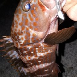 ロックマン魂炸裂