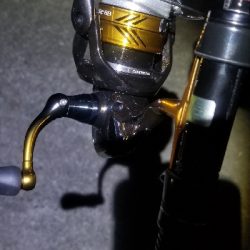 ライトゲーム　リール買い換え前の出撃