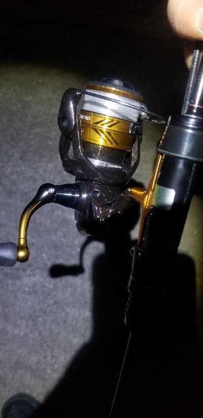 ライトゲーム　リール買い換え前の出撃