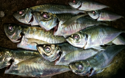 強風の中で釣り