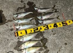 フロートアジング