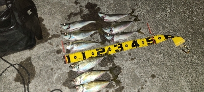 フロートアジング