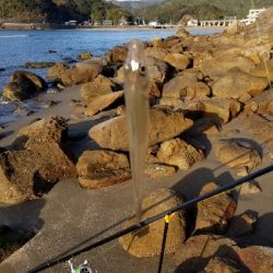 今年最後の釣行！