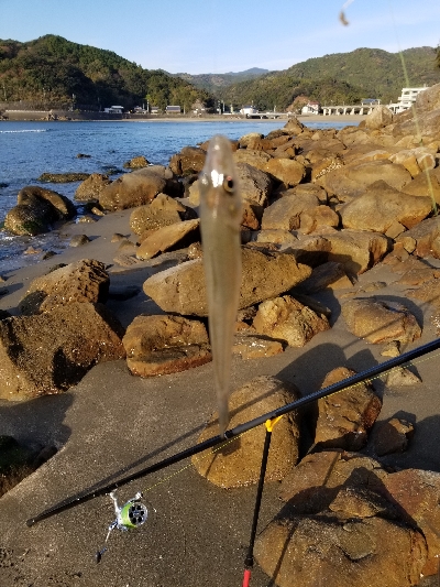 今年最後の釣行！