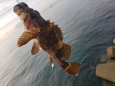 比較的暖かい日