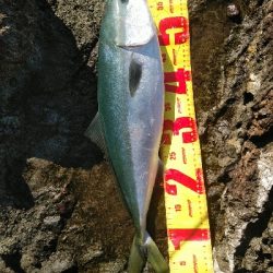 荒れる海で粘って一本