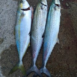 3連ボウズからの当たり日