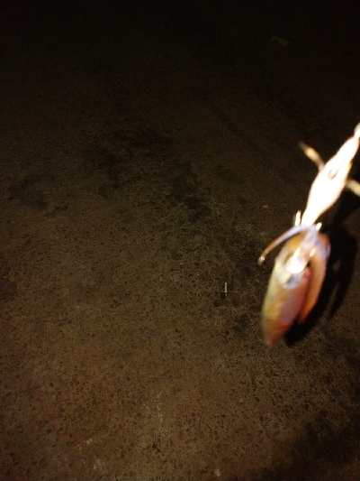 激シブヒイカゲーム