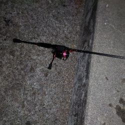 ガッシーくんは裏切らない