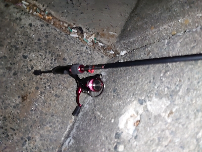 ガッシーくん２