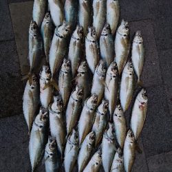 和歌山は長崎になったのか