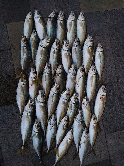 和歌山は長崎になったのか