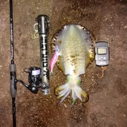 潮目の中で。。