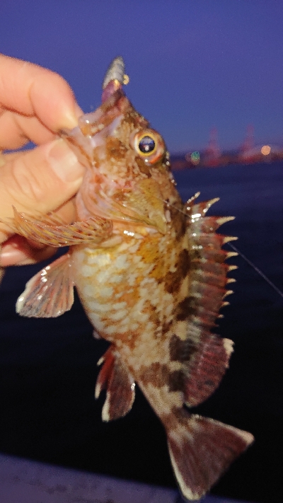 南港ガシリング