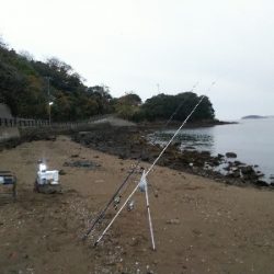 室津のキス釣り