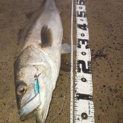 予想外の大物で締め括り