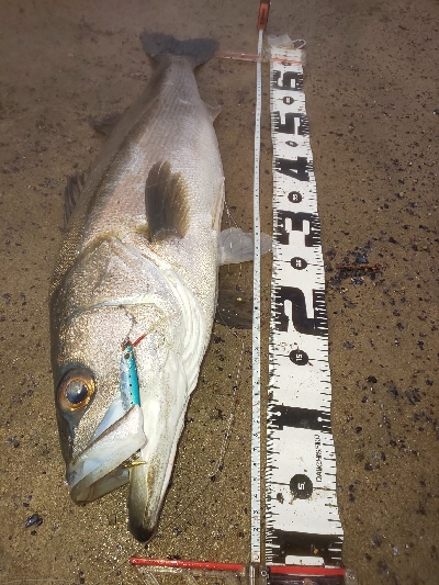 予想外の大物で締め括り