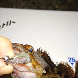 そろそろメバリング