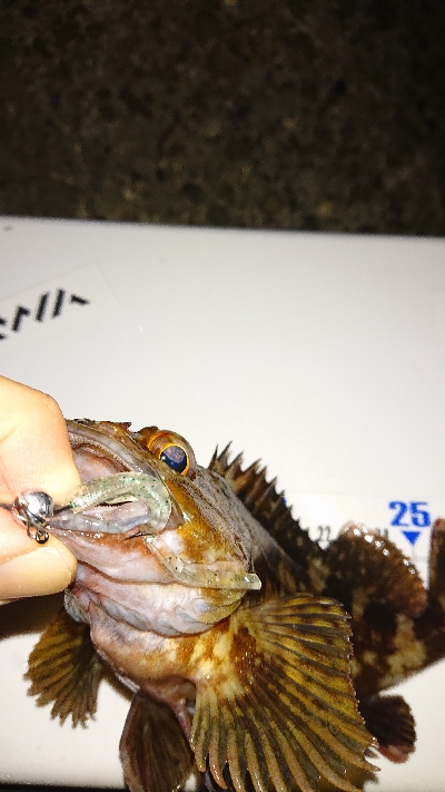 そろそろメバリング