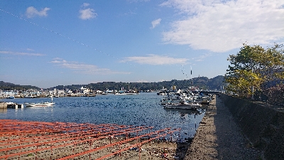 アジを探しに行きました