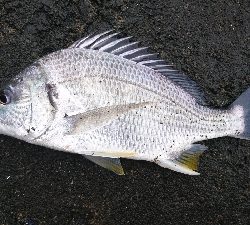 寒くなる前に。