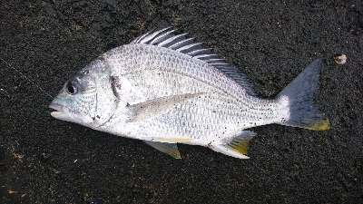 寒くなる前に。