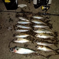 雰囲気読まない奴