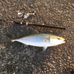 フォールでドーンです！