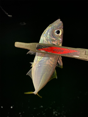 ロッドバランス