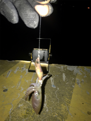 地合いは突然＼(^o^)／