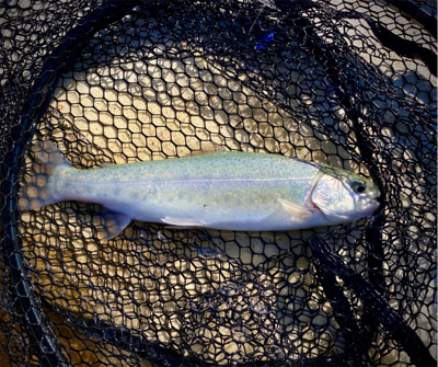 岸和田フィッシングパーク