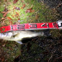 ビッグサイズお預け