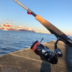 たくさんのお土産をお持ち帰りできました