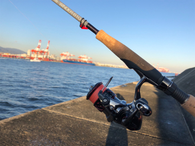 たくさんのお土産をお持ち帰りできました