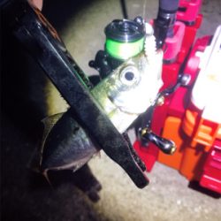 アジング？メバリング？