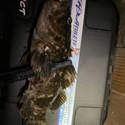 中央市場近くで五目釣り