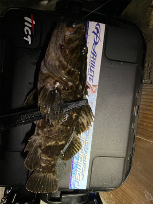 中央市場近くで五目釣り