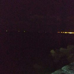 アジングならぬアコリング