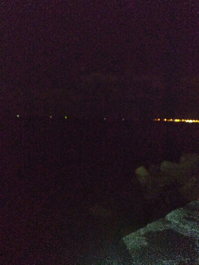 アジングならぬアコリング