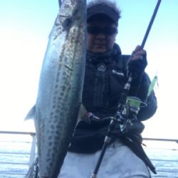 コスモスクエア釣果