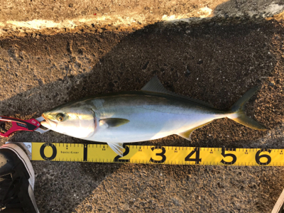 やっと連敗から脱出㊗…