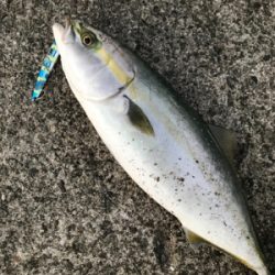 諦めていたけど