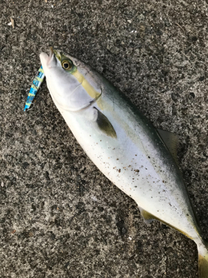 諦めていたけど