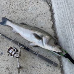 中古ルアー爆発